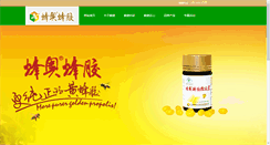 Desktop Screenshot of feng-ao.com